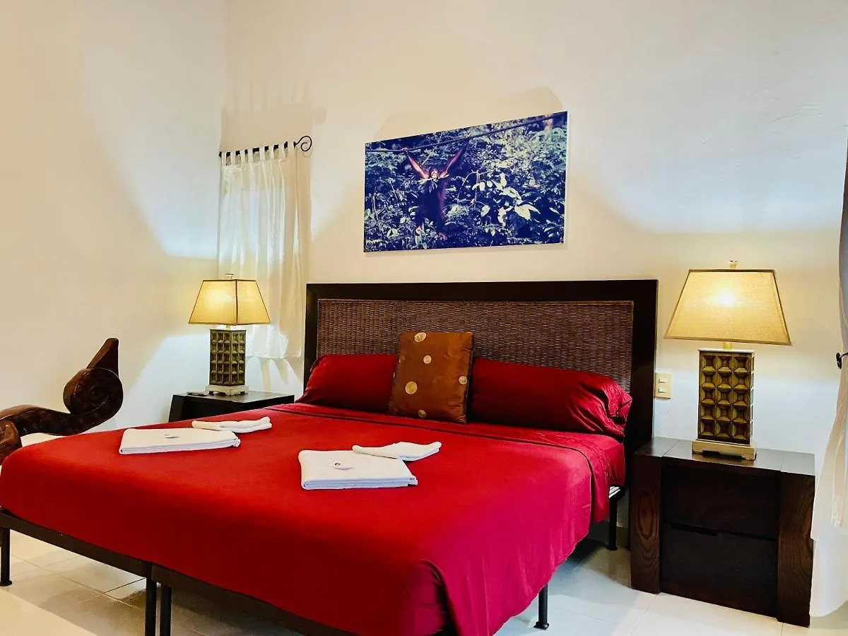 Affittacamere Dolce Vita Caribe Villas Playa del Carmen